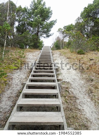 Wooden staircase goes to the sky among the forest, selective focus