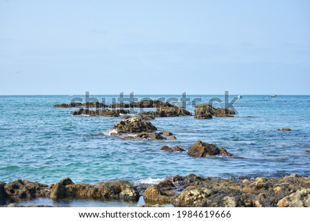 reef in the sea of ​​san pablo