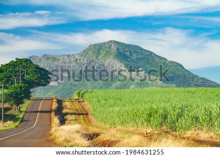 Road along sugar cane field with blue cloudy sky and mountain in the republic of Mauritius.