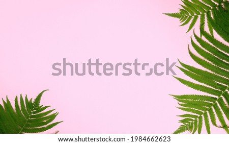 tropical summer banner green leaves on pink background. Copy space for text