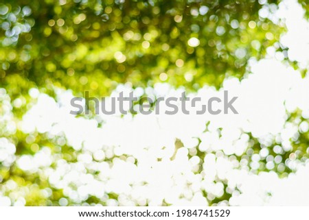 Green leaf bokeh pattern background for design