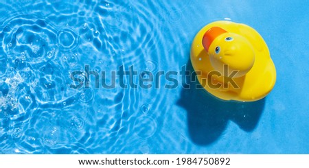 Yellow rubber toy duck in a blue pool. Summer concept. Top View Royalty-Free Stock Photo #1984750892