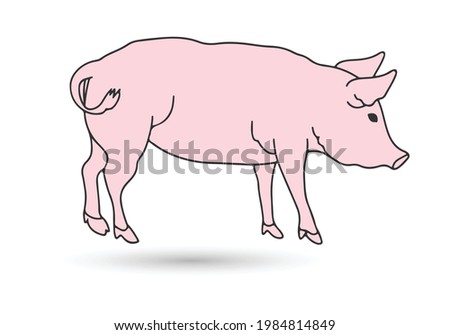 Pig icon vector illustration symbol