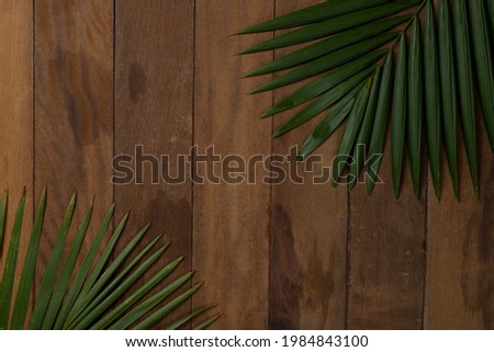 leaves on wooden summer background
