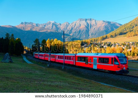 Fall scenery of a red train traveling in Swiss countryside, with golden larch forests on the hillside and alpine mountains towering under blue sky, in Pontresina, Engadin Valley, Grisons, Switzerland Royalty-Free Stock Photo #1984890371