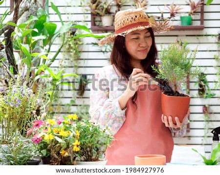 Asian florist woman plant and sale online plant flower in garden. People hobby and freelance gardening indoor at home, nature garden background. Happy in spring and summer day. Home Business Concept

