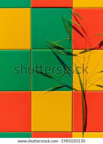 Natural green grass with harsh shadow on mosaic colorful tile texture. Bright abstract summer background ceramic facade exterior architecture. Multicolored creative house facade wallpaper copy space