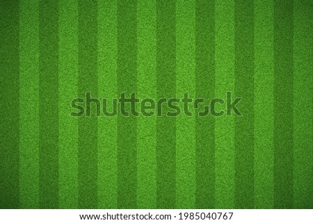 Football field or soccer field background