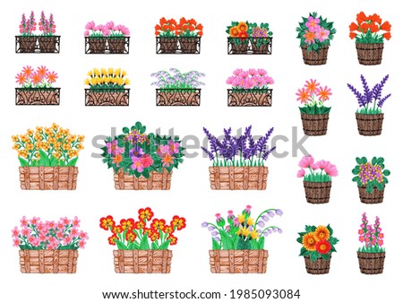 A large set of bouquets of flowers in boxes made of wood and metal. Hand drawn watercolor painting. Isolated illustration on a white background. Collection of garden rustic flowering plants in pots.