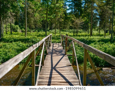 wooden plank footpath in forest for hiking in wild nature. summer scene