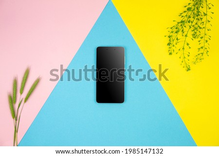 Mockup blank smartphone screen on yellow, blue, pink background with spikelet and green plant. Copy space for advertising text. Modern technology, web application for gadgets. Summer spring mood.