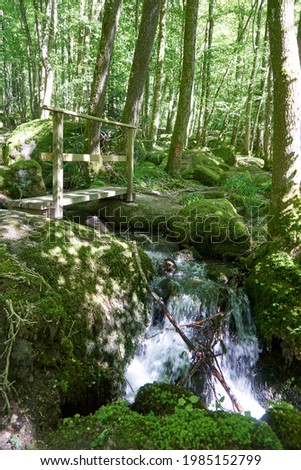 the famous Gaishöll waterfalls in the gaishölle in sasbachwalden germany