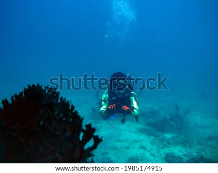 Dive in the sea on coral reef habit           