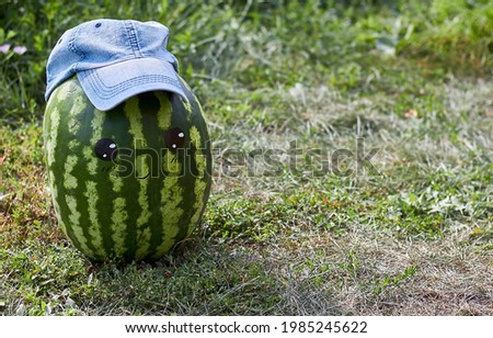 Watermelon with a smile and a hat on the grass.