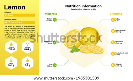 Lemon and its nutritional properties -Vector illustration
