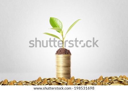 plant on gold coins and the graph them 