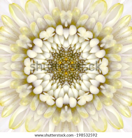 White Mandala Concentric Flower Kaleidoscope Center. Kaleidoscopic Design Pattern