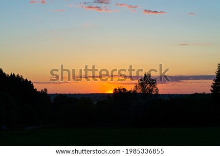 Bright contrasting sunset in the sky over the black silhouette of the forest