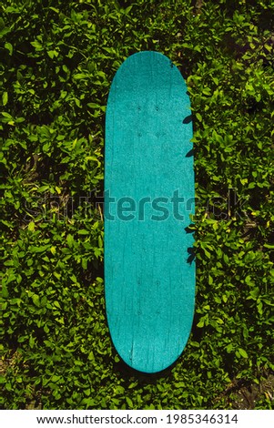 Green wooden skateboard on grass outdoors on a sunny day. Skateboarding background, street extreme sport. Summer backdrop