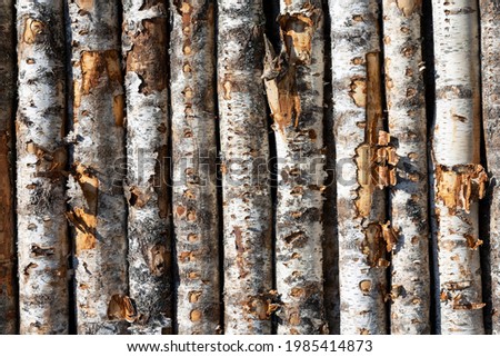 birch logs in rows. the trees are stacked with stacks. timber. High quality photo