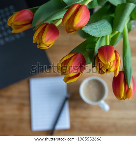 blank notebook and laptop with morning coffee and tulips on wooden table. stylish flat lay with flowers and working gadgets with copy space. freelance. home working, holiday, square selective focus