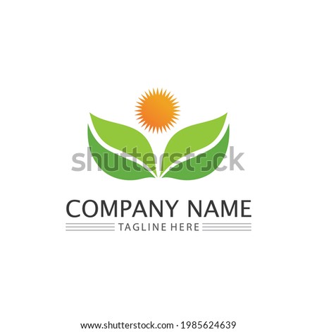 LEAF AND SUN NATURE TREE LOGO FOR BUSINESS VECTOR GREEN PLANT ECOLOGY DESIGN ICON