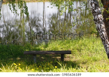 Pond in a birch forest in summer. Beautiful nature. Green colors. Photo for the calendar. A wooden bench with no one on it.
