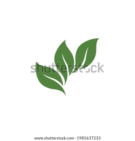 Leaf Green Nature Ecology Element vector