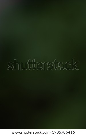 Abstract dark green blurred background