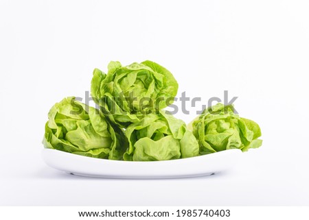 Green baby cos lettuce on white plate with white background