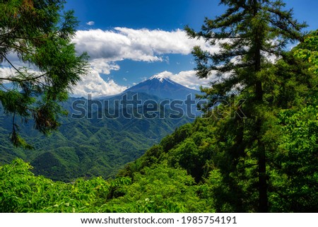 Green mountains around Fuji (Japan)