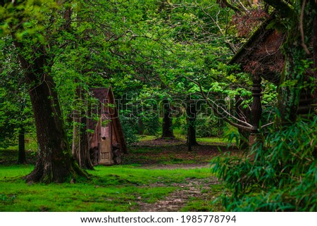 Enchanted fairy forest, building a tree house in the forest in summer, fresh air and greenery, privacy