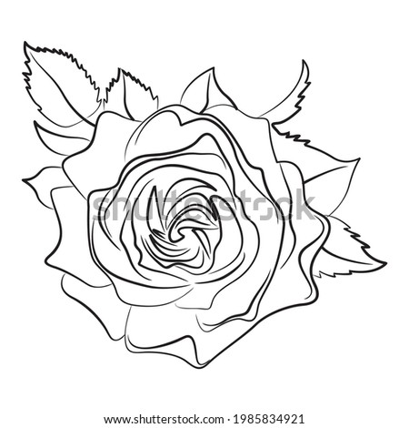 Black Silhoutte of Rose Vector Illustration