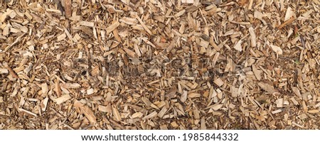 Wood chips as a background Royalty-Free Stock Photo #1985844332