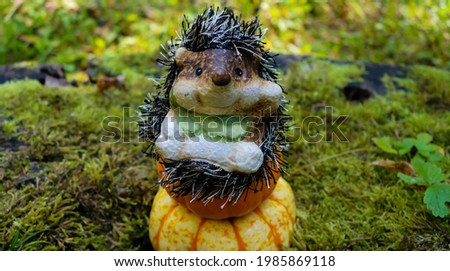 Hedgehog Decoration on Surface with Moss