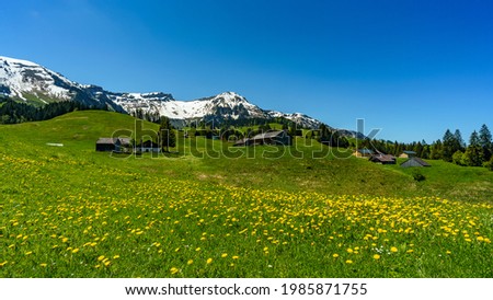 panoramic view on the alp of Bregenz forest with his alpine farm houses and the snowy mountain range Lower with Winter Perennial in background. sunny day in spring with flowered meadows and clear sky 