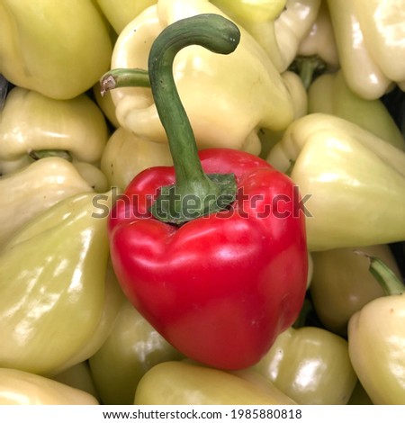 Macro photo red pepper. Stock photo vegetable red bell pepper background