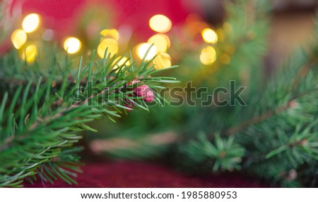 Christmas background, green pine branches on a red velvet festive background. Creative composition with border and copy space, top view. New year decoration with bokeh lights from light bulbs.