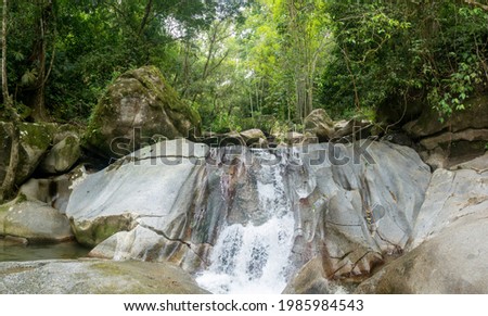 Lots of Vegetation, Plants, Moss in the Rocks at Waterfalls in Minca, Colombia 