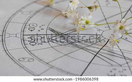 Detail of printed astrology chart with planets in Gemini and small white flowers in the background