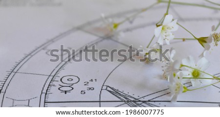 Detail of printed astrology chart with Mercury planet and Sun with white small flower heads in the background