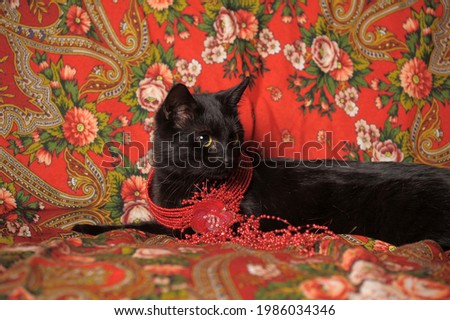 a graceful black cat lies on a scarf in the Russian style with a red necklace on its neck