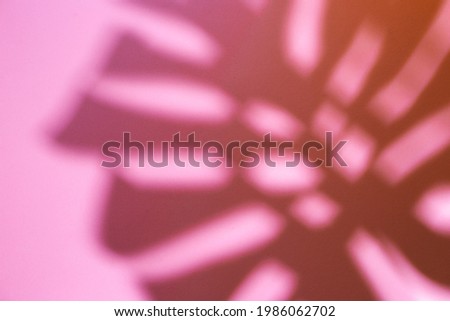 shadow of tropical plant leaf on pink background. Top view, flat lay.