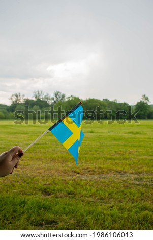 Sweden hand flag on green meadow. National flag