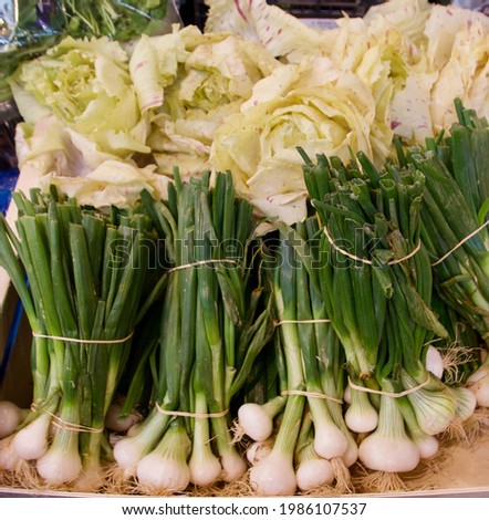 Full frame vegetable background of spring onions and lettuce with copyspace