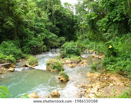 Beautiful winding river in Jamaica