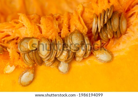 extreme close up shot of sliced pumpkin.