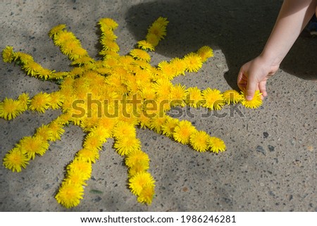 The kid creates a pattern of flowers in the form of a sun.