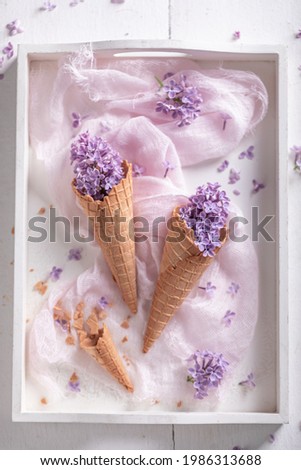 Beautiful lilac flowers in wafer cone. Concept for gift card. Beautiful background for a gift card. 