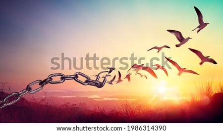 Freedom - Chains That Transform Into Birds - Charge Concept Royalty-Free Stock Photo #1986314390